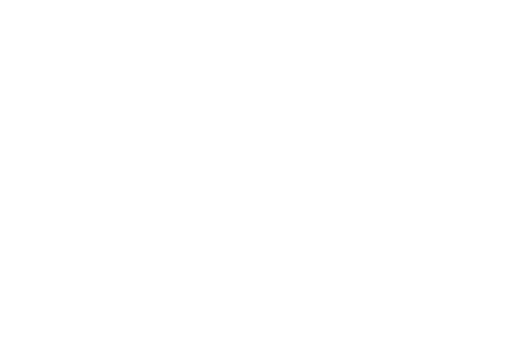 B&C Solutions Logo Hero